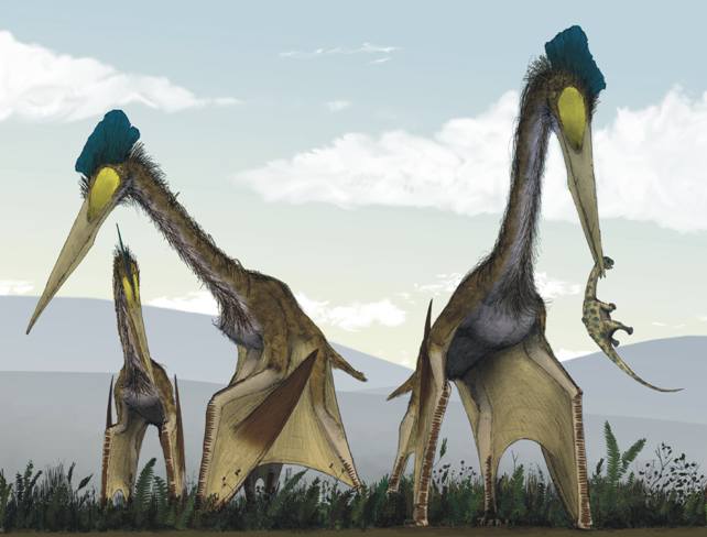 Quetzalcoatlus-northropi.jpg