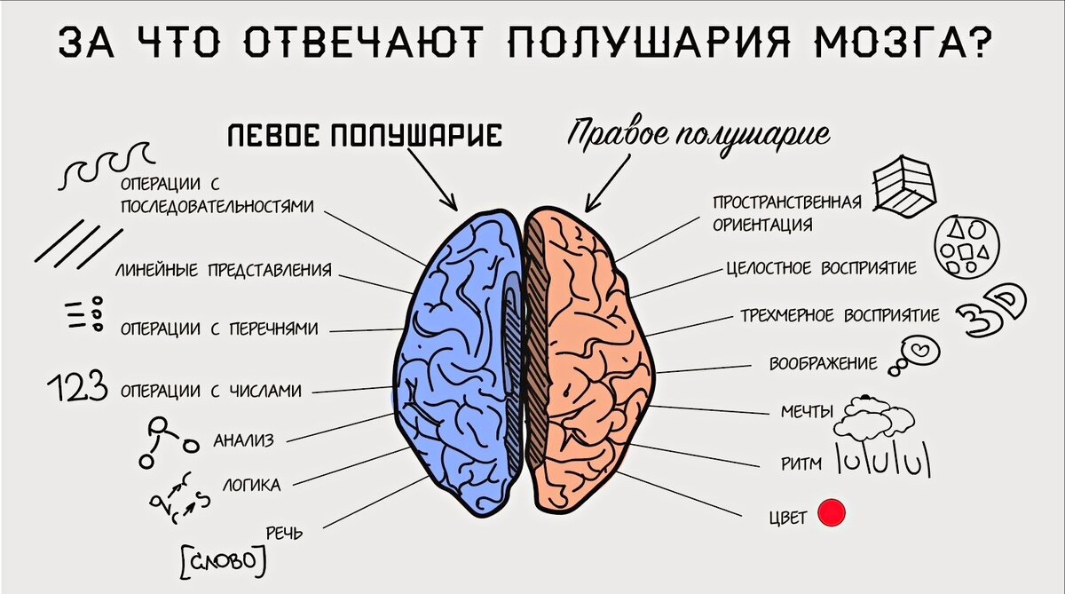 Налаживаем мозговое кровоснабжение, пока варится утренний кофе: веселая 3-минутная зарядка для обоих полушарий пальцев, мозга, меняем, упражнения, средний, упражнений, наших, местами, постепенно, показываем, «класс», кулак, другой, Потом, минимум, наращивая, ничего, внимание, одновременно, поочередно