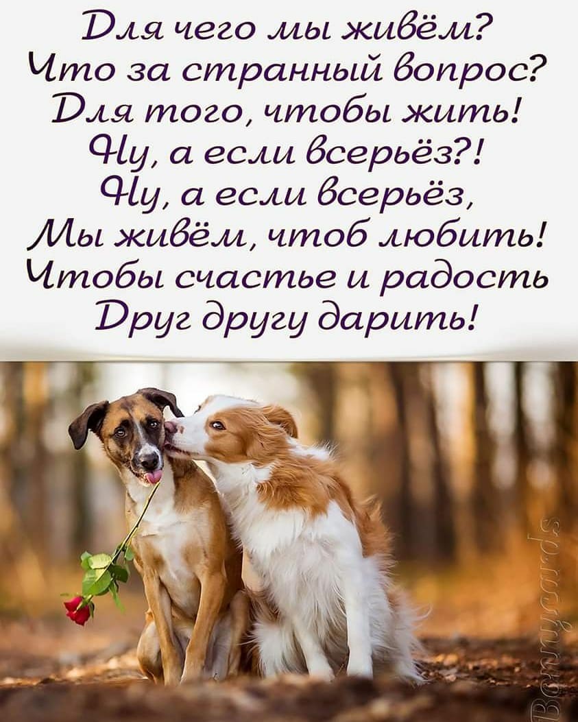 Напутствие себе в прошлое животные,Истории из жизни,отношения,позитив