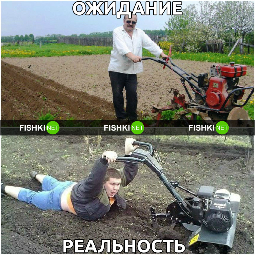 Дача ожидание и реальность смешные картинки