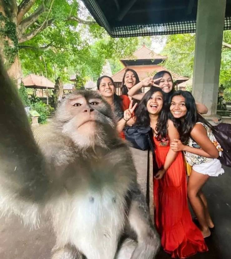 Подборка прикольных картинок  приколы,смешные картинки,юмор