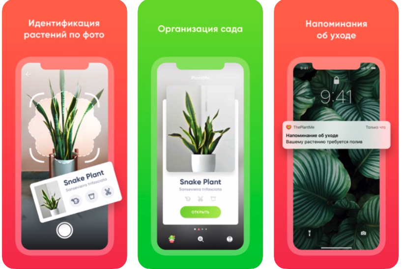 Приложений для смартфона, которые превратились в успешные бизнесы