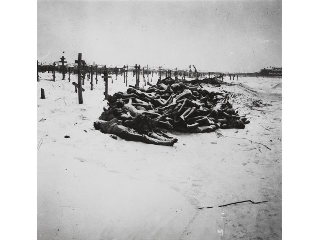 Лютый голод 1921 года, как это было история