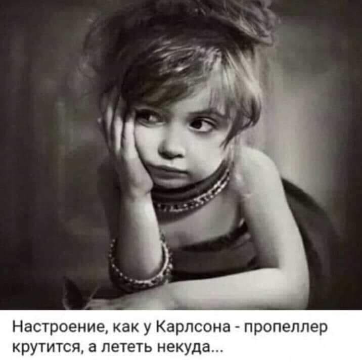 Я никогда не называл себя котовладельцем. У меня нет никаких иллюзий по поводу того, кто кем на самом деле владеет видела, Через, сегодня, разницу, стало, Рекламная, сделать, счастливымиА, опять, ничего, понятноСегодня, похмелье—, Вчера, еврейской, новой, мужчиныКак, столовой, обычно, котлеты, макаронами