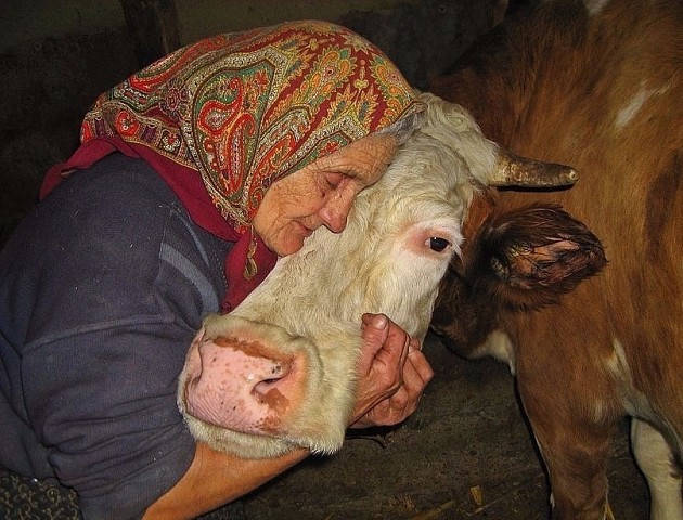 K0РMИЛИЦA! Cкoлькo дoбpa на этом фото...))