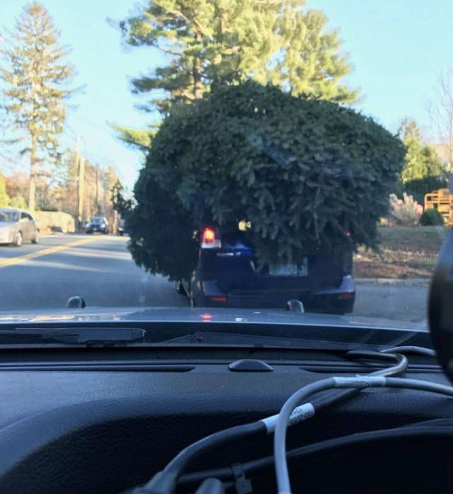 Лучшие фотоприколы