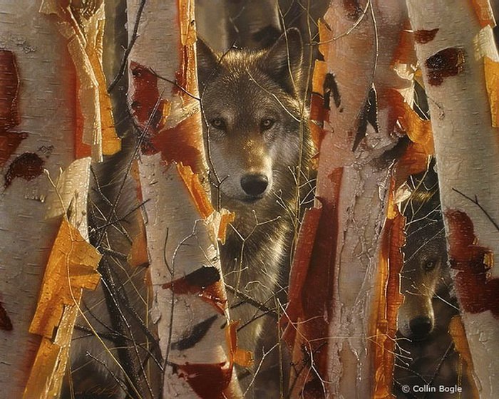 Фотореалистичные картины художника Коллина Богля живопись