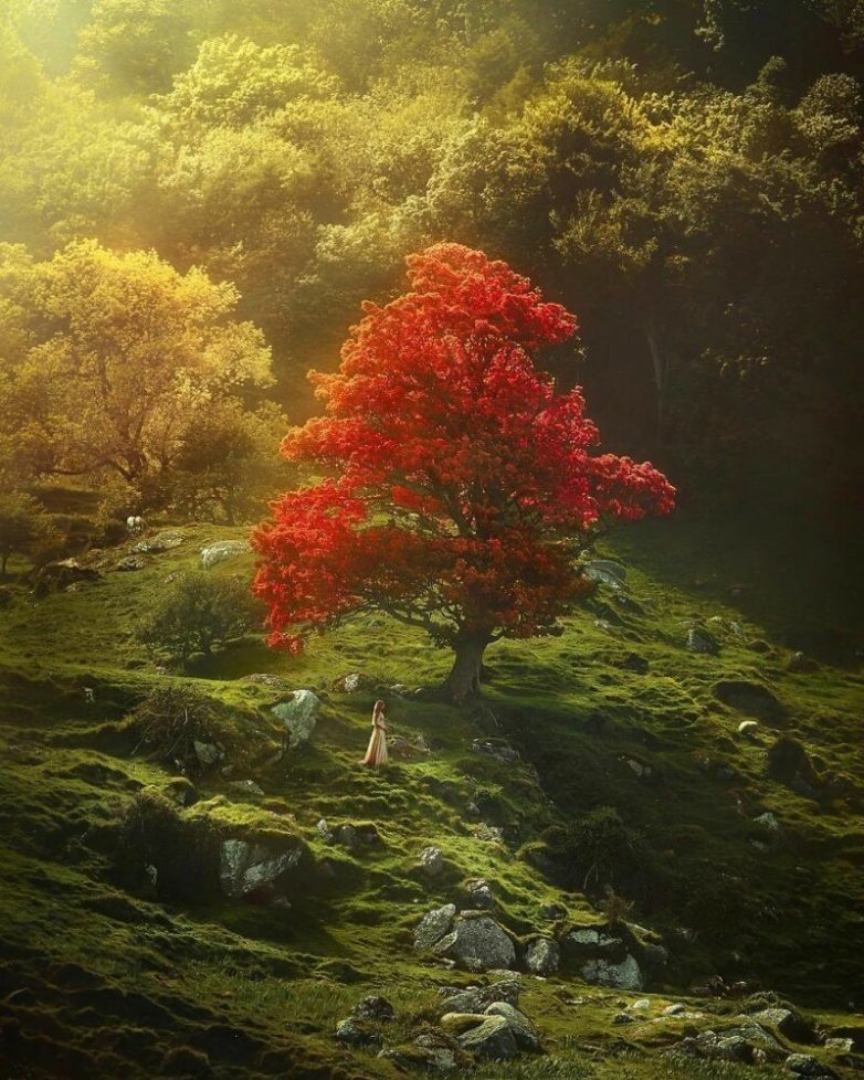 Сказочный трип: пара делает фотографии в самых волшебных уголках планеты путешествие,травел-фото