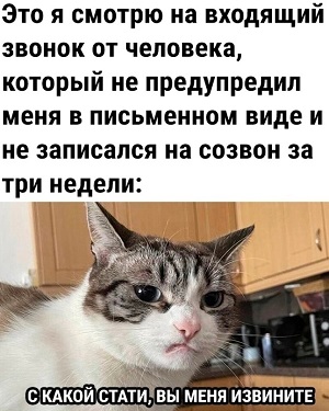 Дневник кота Василия апреля, марта, Вчера, потом, Хозяин, хозяйка, Сегодня, вчера, попугайчика, шторы, потому, вернулся, сразу, шкафа, нельзя, логика, логики, разрыдалась© , средневековое, мракобесие19