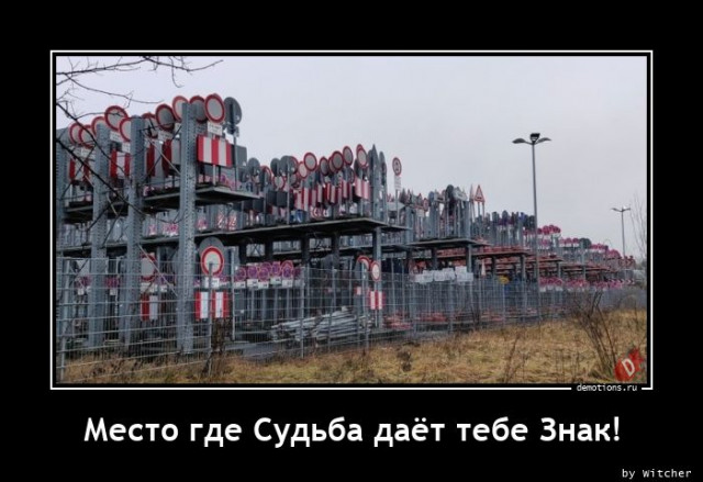 Очередная коллекция демотиваторов для вашего прекрасного предпраздничного настроения! 