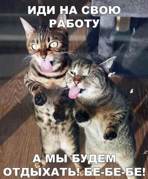 Подборка позитива в картинках на весь день! 