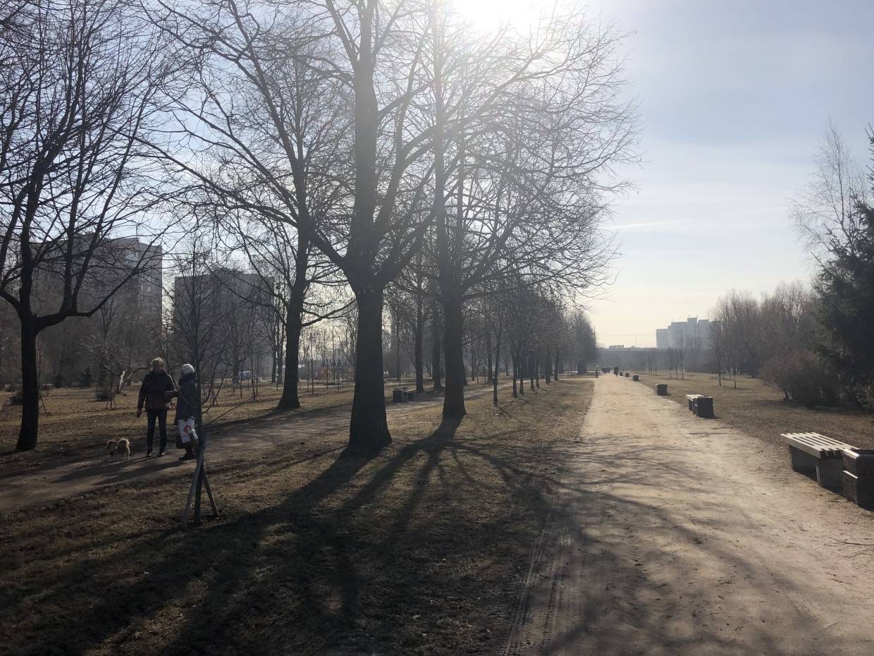 где находится заневский парк в спб