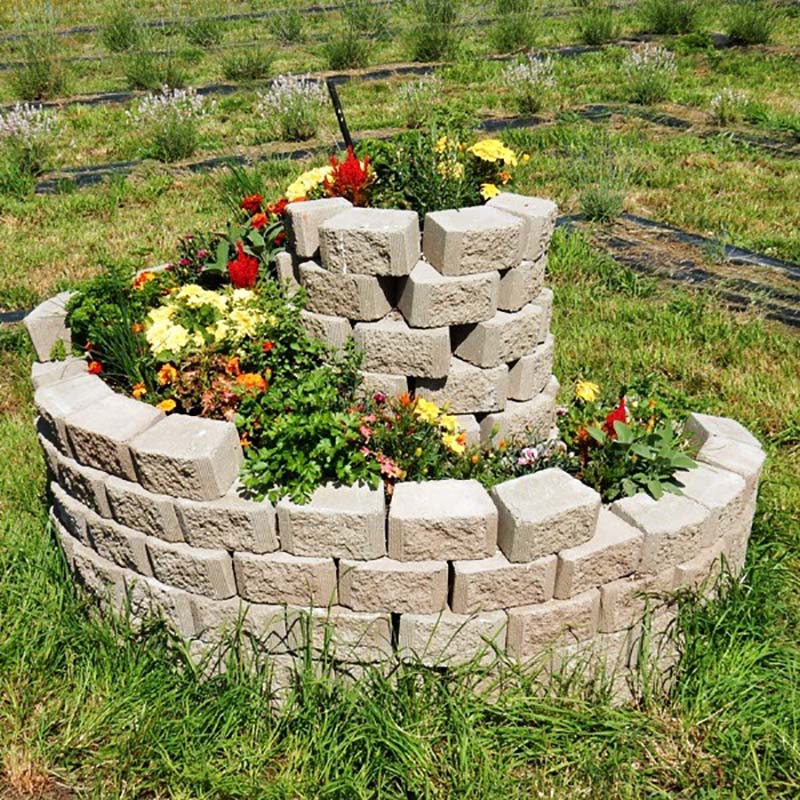 декоративные кустарники для клумбы