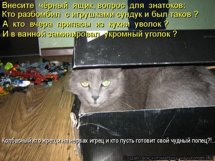 Мысли вслух :)