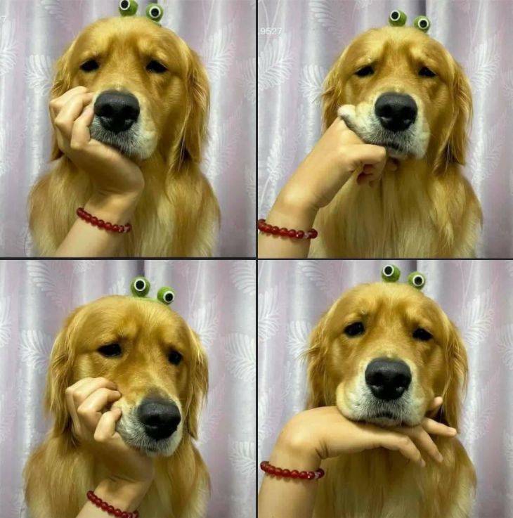 Подборка картинок. Вечерний выпуск  приколы,смешные картинки,юмор