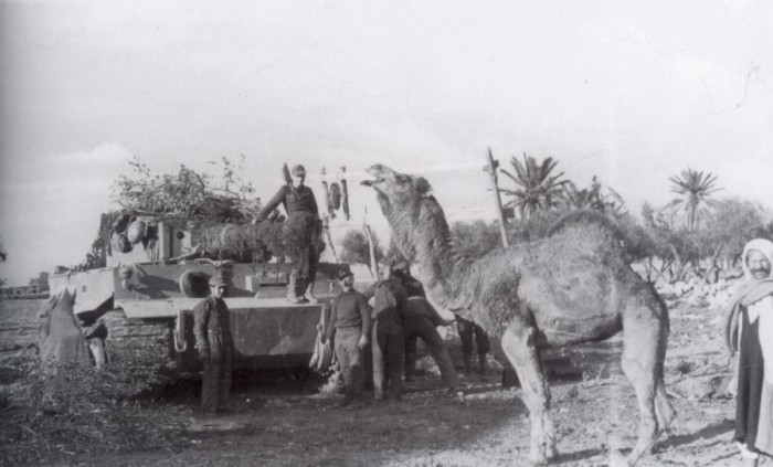 Сабли, молотки и навоз: 5 странных способов борьбы с танками Сабли, молотки и навоз: 5 странных способов борьбы с танками война