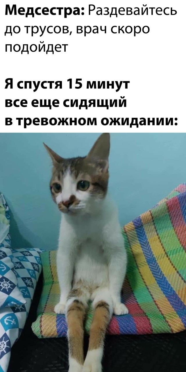 Подборка прикольных картинок  приколы,смешные картинки,юмор