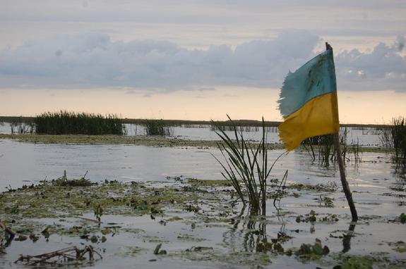 Два города на Украине остались без водоснабжения из-за отравленной реки