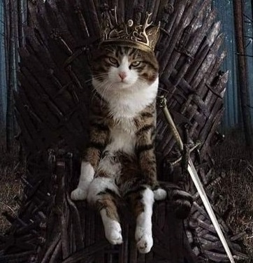 О волшебных свойствах силикона