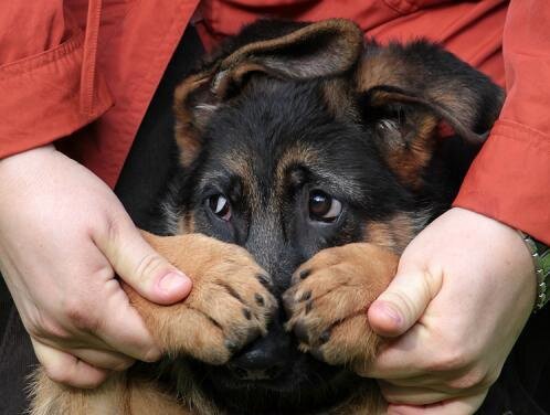 Если любишь – отпусти. Не зря так говорят Если любишь – отпусти. Не зря так говорят