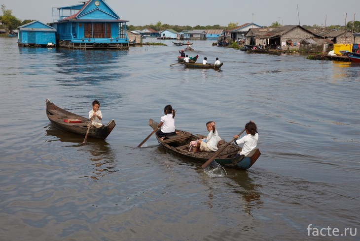 Жизнь в окружении воды Жизнь в окружении воды жизнь,интересное,общество