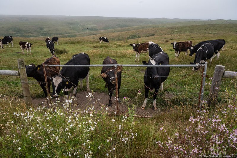 Как американцы любят природу. Путевые заметки заграница,поездка,путешествие,страны,туризм