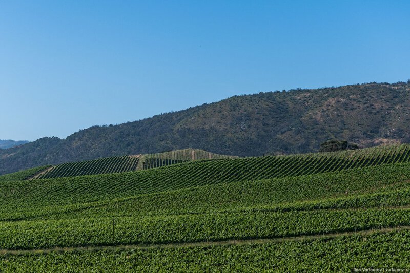 Как американцы любят природу. Путевые заметки заграница,поездка,путешествие,страны,туризм