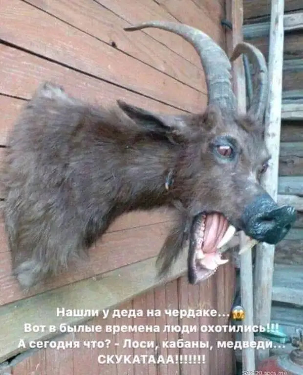 Взросление – это когда тебе больше не стыдно носить контейнер с обедом на работу Взросление – это когда тебе больше не стыдно носить контейнер с обедом на работу Ивановна, жизнь, гаишника, молодой, будку, петлю, табурет, половинка, перед, купюру, словами, батон, сколько, Официант, Таможенник, только, Сегодня, будет, Марья, говорит