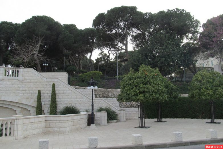 Израиль — страна-пустыня? Нет, страна-сад! Израиль — страна-пустыня? Нет, страна-сад!