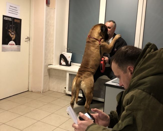 Песье