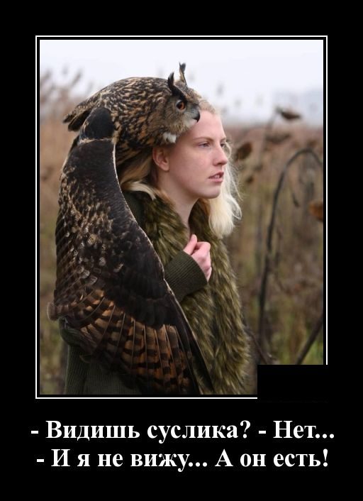 Весёлые картинки в чёрной рамке 