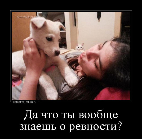 Пятничные демотиваторы для классного настроения на весь день Пятничные демотиваторы для классного настроения на весь день демотиваторы свежие,смешные демотиваторы