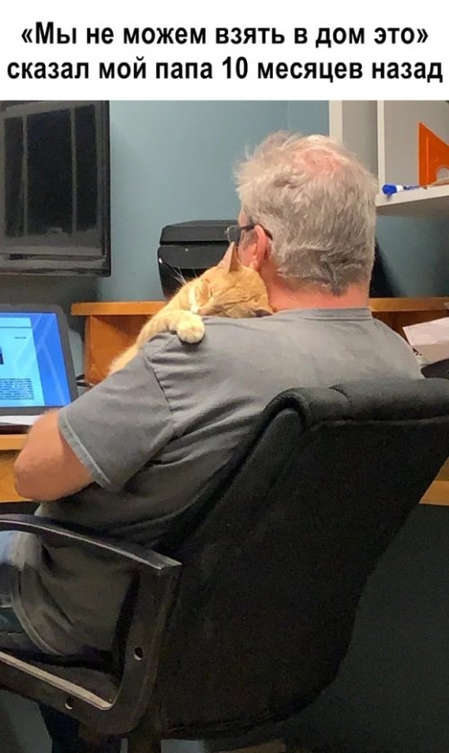 Фотоподборка понедельника 25 марта  