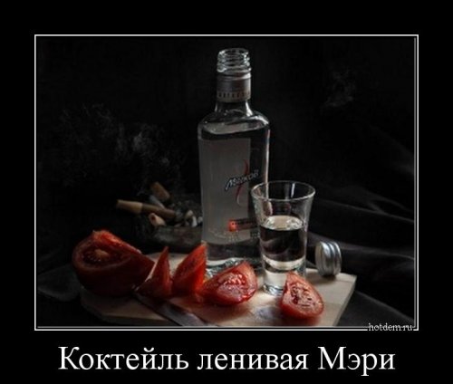 Прикольные демотиваторы для хорошего настроения 