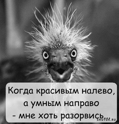 Подборка смешных картинок для хорошего настроения!