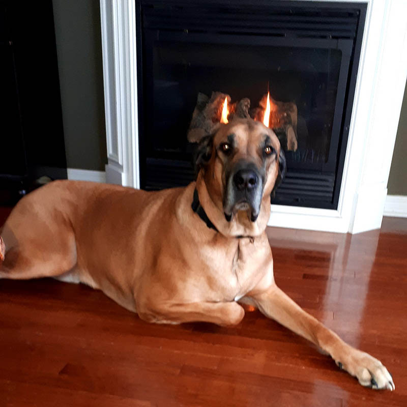 17 оптических иллюзий для того, чтобы мозг запутать раз и навсегда 17 оптических иллюзий для того, чтобы мозг запутать раз и навсегда