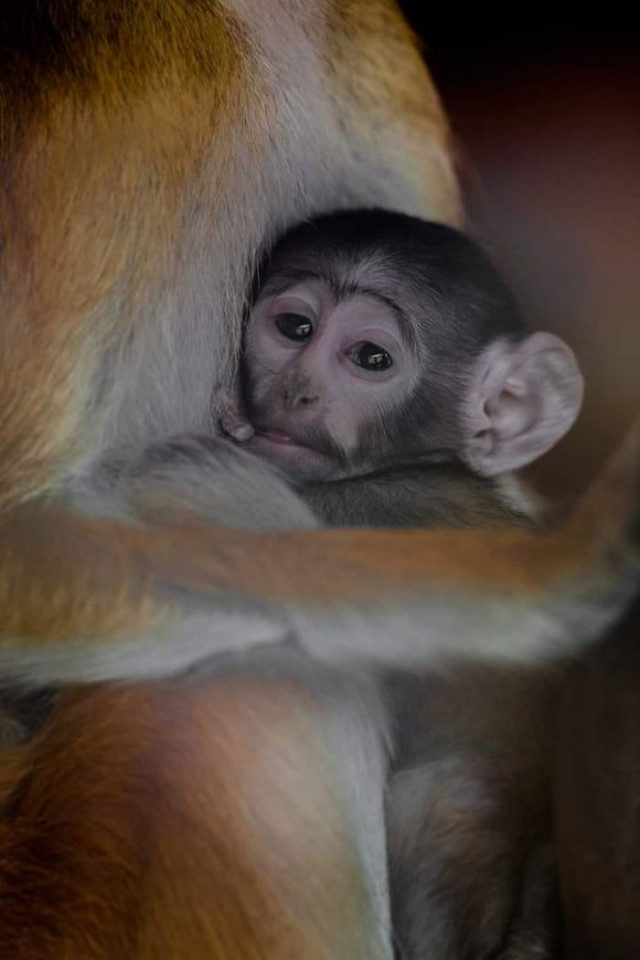 Фотография: От этих фото на душе становится теплей №27 - BigPicture.ru