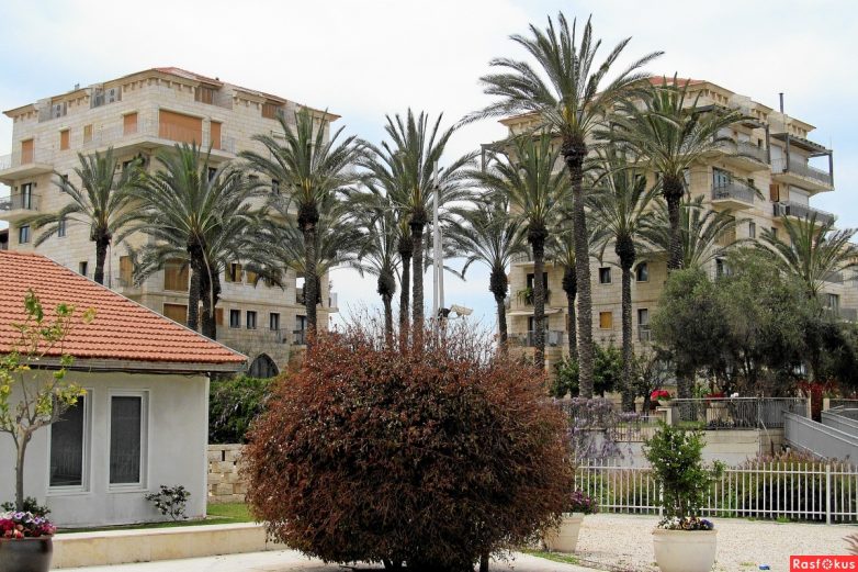 Израиль — страна-пустыня? Нет, страна-сад! Израиль — страна-пустыня? Нет, страна-сад!