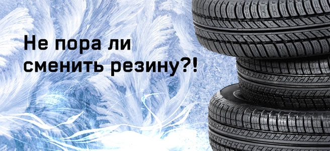 Собачки для, зимняя резина смешные картинки