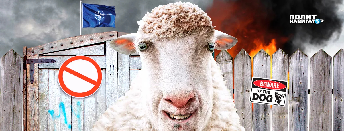 Украина не будет принята в состав Североатлантического альянса, несмотря на дежурные заявления американских чиновников....