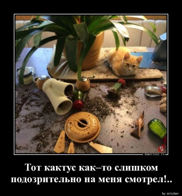 Демотиваторы прикольные для всех: «Фитотерапия» 