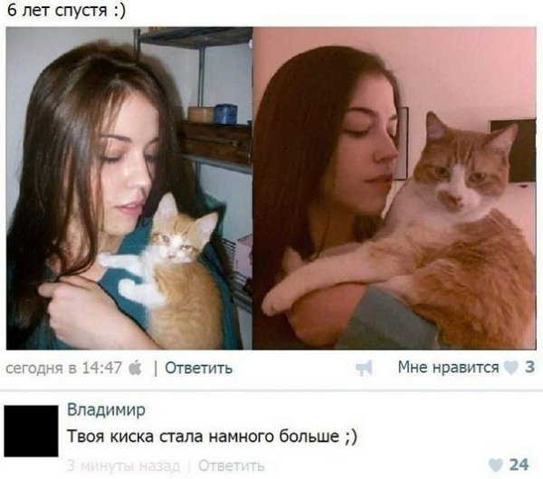 Нестандартный юмор :)