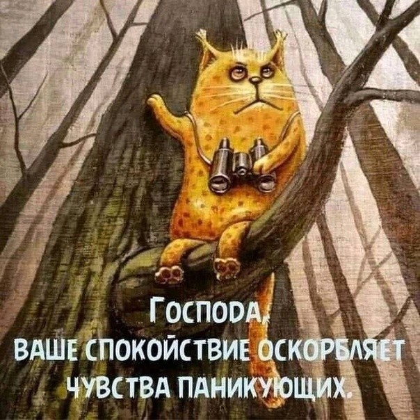 Подборка смешных картинок для хорошего настроения! Подборка смешных картинок для хорошего настроения!