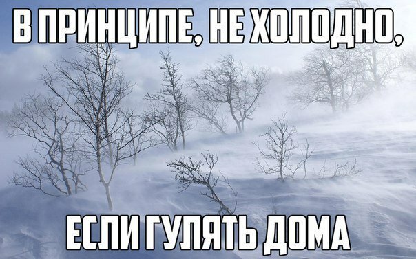 Картинки с надписями от serioga888 за 25 февраля 2019 картинки, картинки с надписями, надписи, прикол, юмор