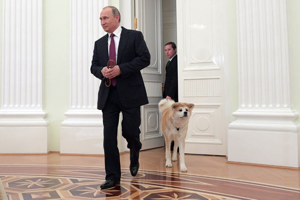Путин в сопровождении уже повзрослевшего подарка. 