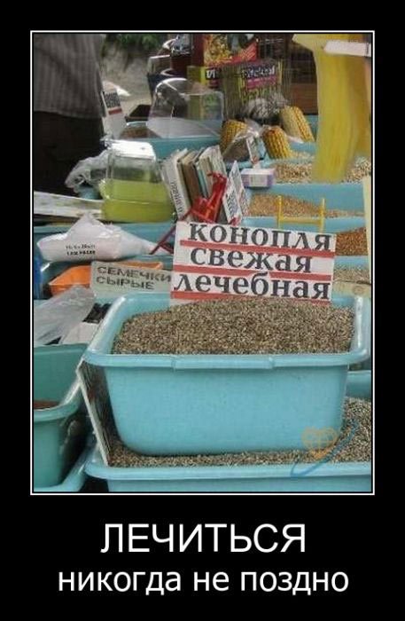 Свежая порция демотиваторов (18 шт)