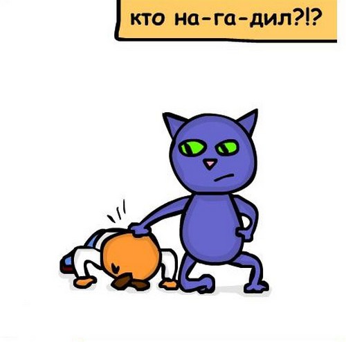 О чем мечтает кот?