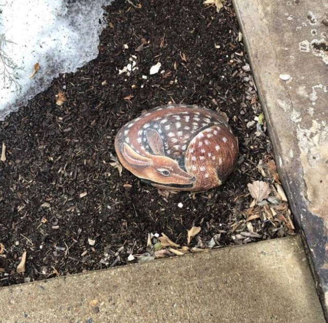 Подборка прикольных картинок  смешные картинки