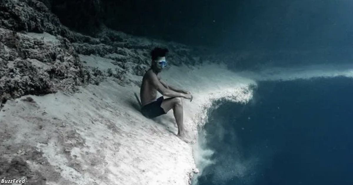 18 ужасных вещей, которые люди увидели на дне моря жизнь,интересное,подводное плавание,природа,ужасы