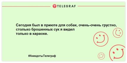 В каждой шутке только доля шутки... остальное, верил, пристально, смотрит, выдает—, забыла, сигарет, купитьБыло, Старший, умный, детина, средний, младший, доверял, людям, словоВы, свиной, встречали, сказку, чтобы